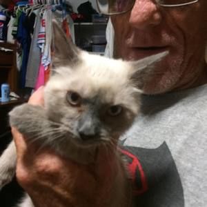 Meet your Posher, Alex